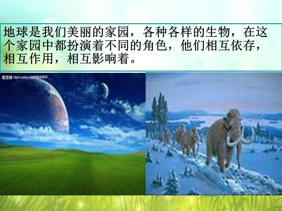 教科版科学六年级上册《生物多样性的意义》PPT.ppt_第2页