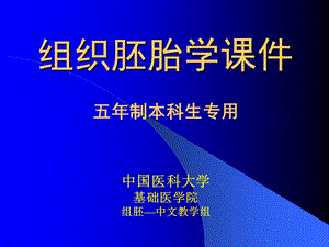 第23章消化系统和呼吸系统的发生.ppt