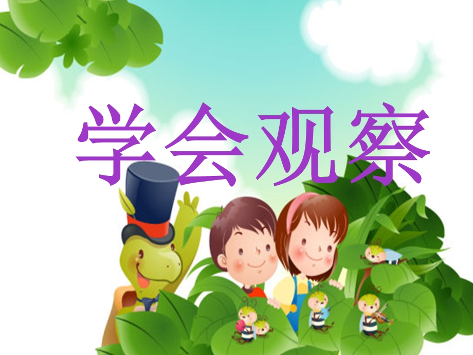 学会观察综合实践三年级上册.ppt_第1页