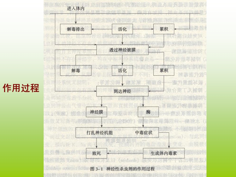 农药的生物活性和作用机理-1.ppt_第2页