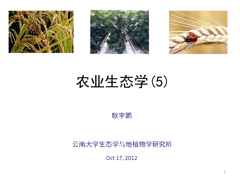 农业生态学-5 生态系统.ppt_第1页