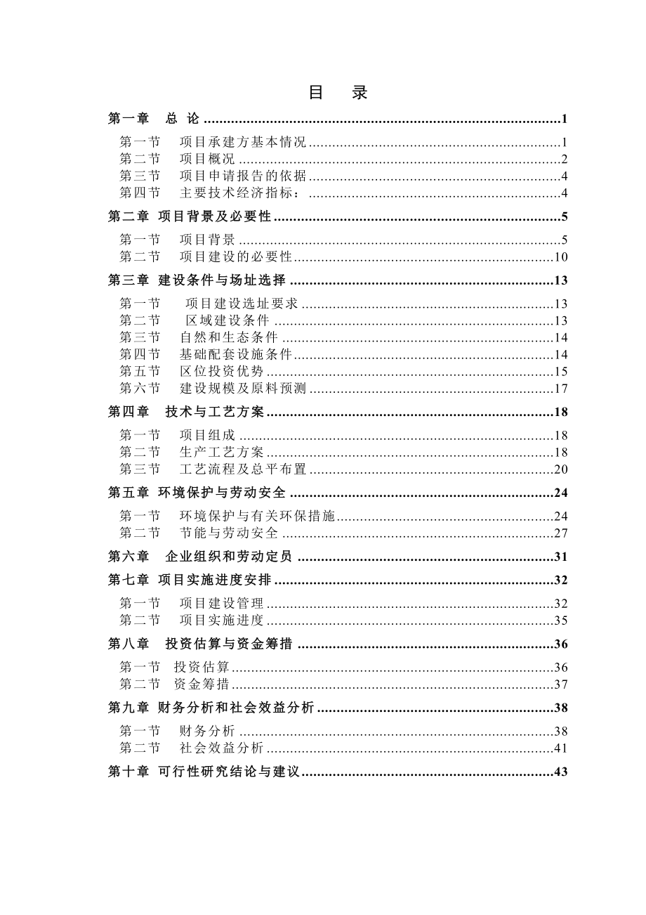 公司项目可行性研究报告最新.doc_第2页