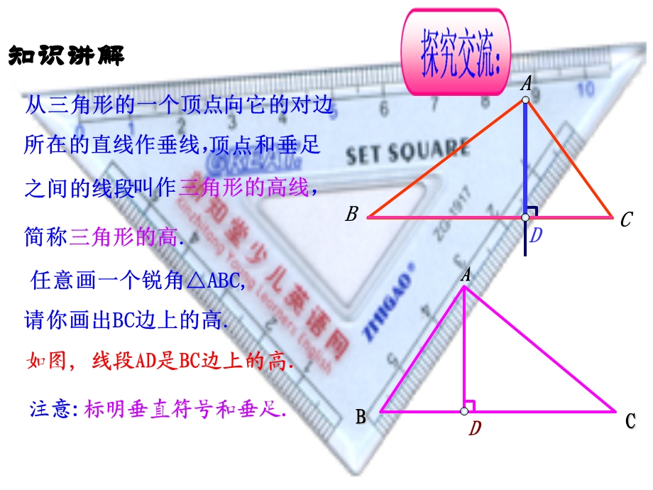 新湘教版八年级数学上册2.1.2三角形(第2课时).ppt_第3页