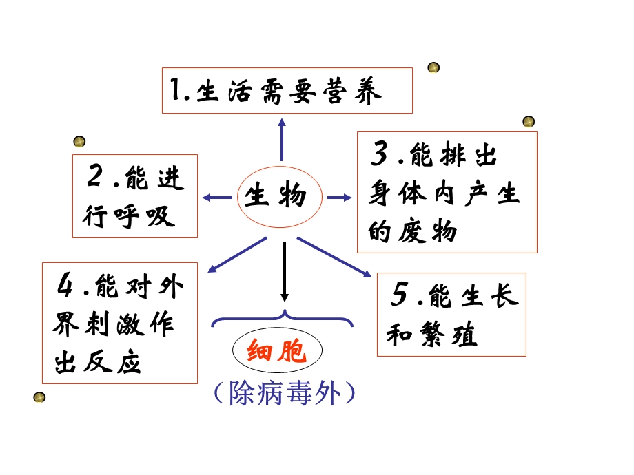 七年级上册复习.ppt_第2页