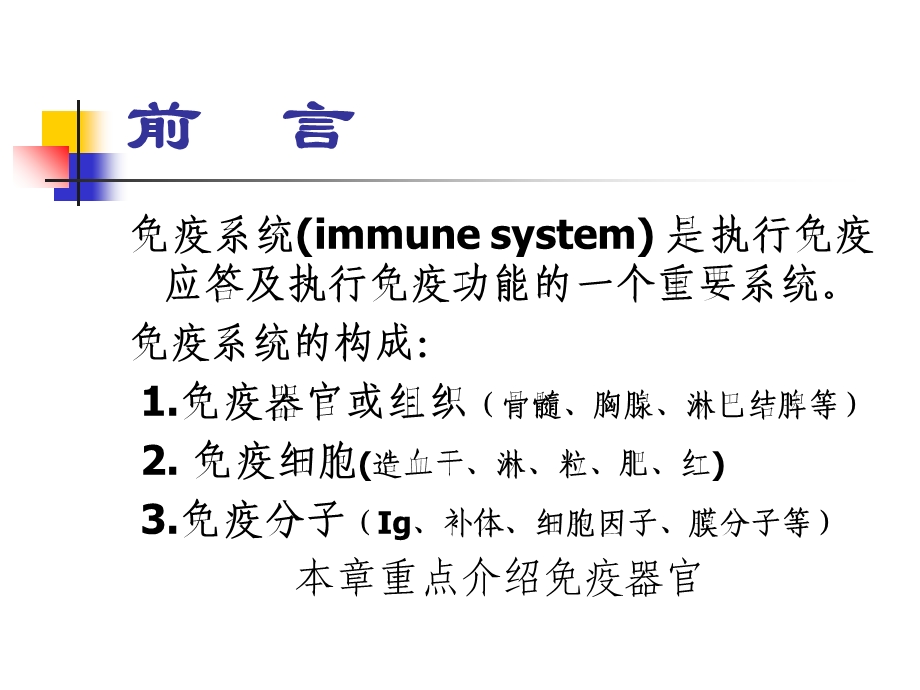 免疫组织和器官.ppt_第2页