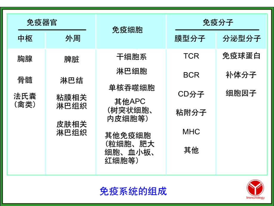 免疫组织和器官.ppt_第3页