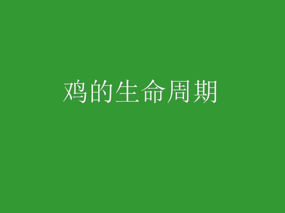 其他的动物生命周期.ppt_第1页