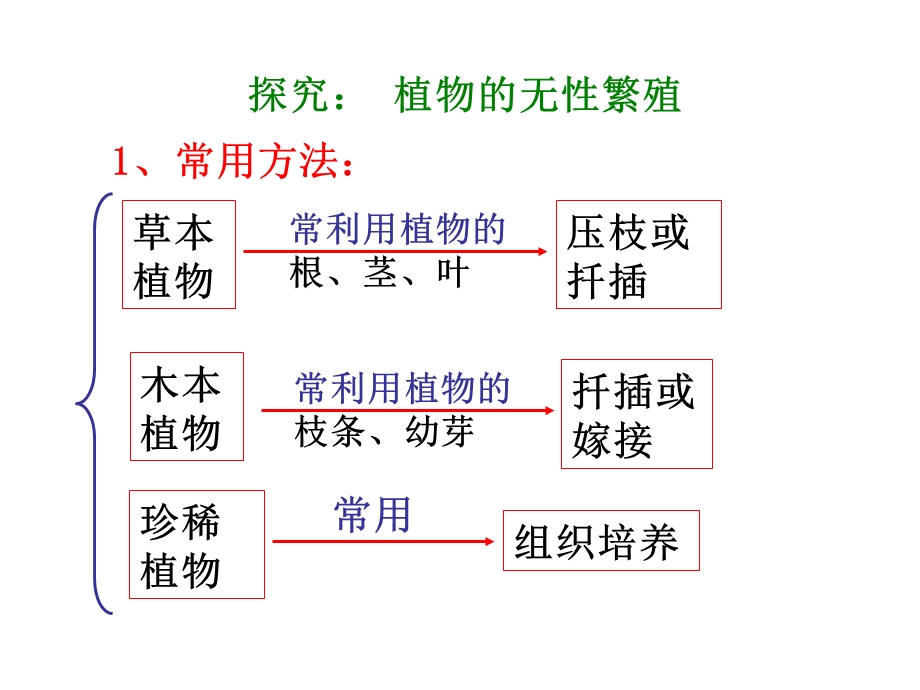 八年级下册复习.ppt_第1页