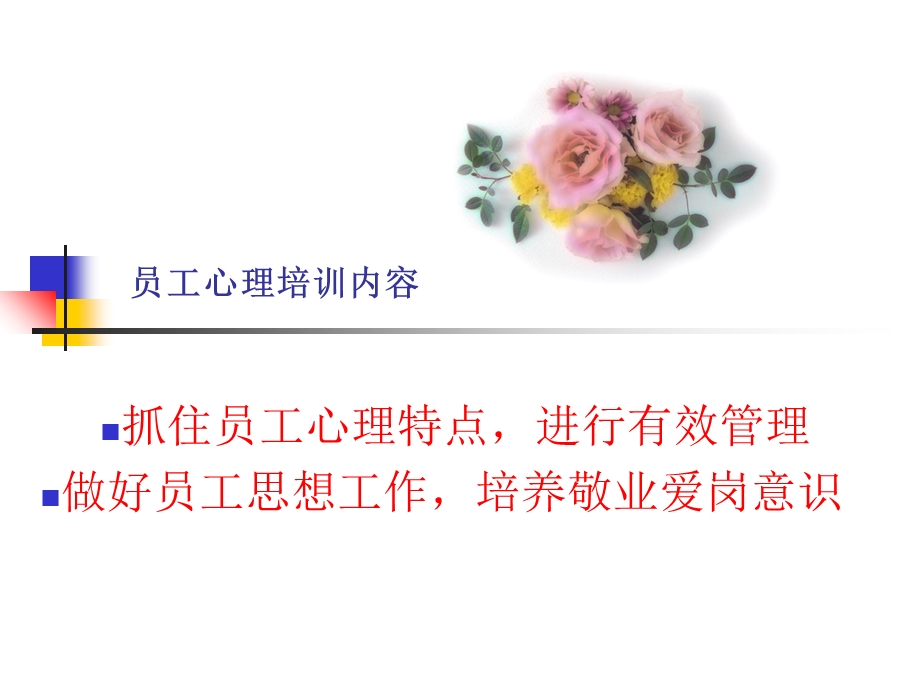 员工心理素质培训(ppt37页).ppt_第2页