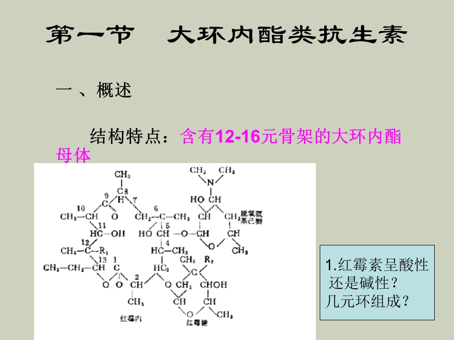 其他抗生素生产.ppt_第2页