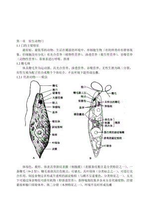 竞赛辅导动物.doc