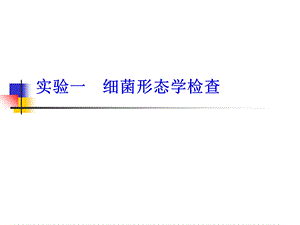 实验一细菌形态学检查.ppt