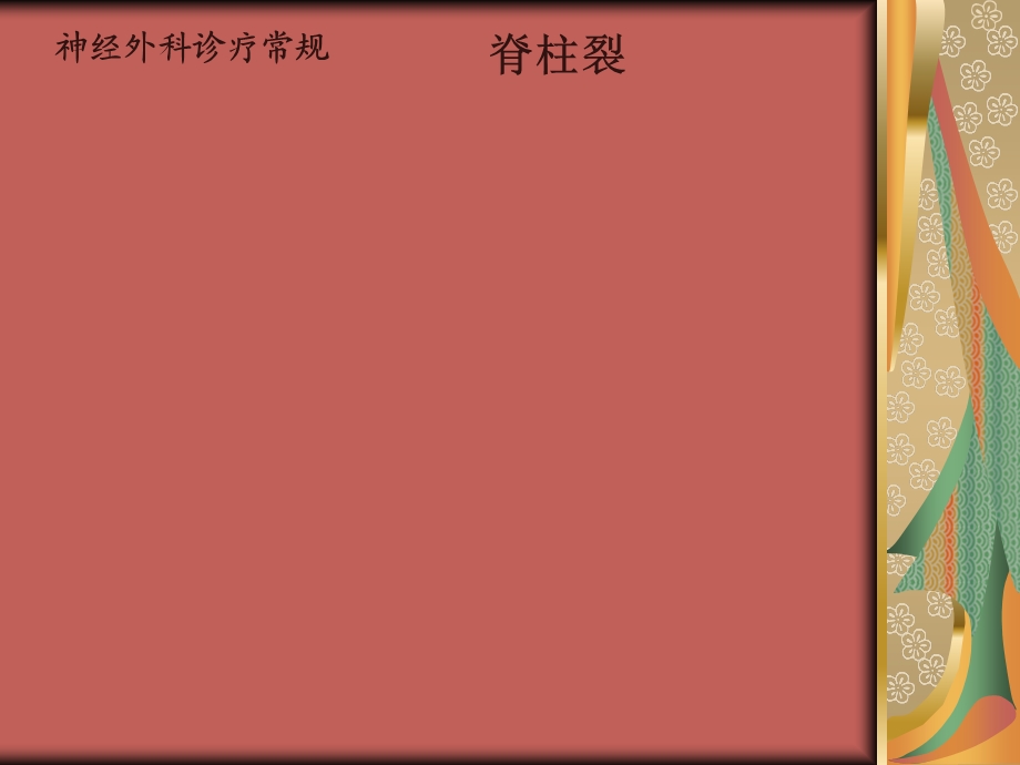 先天性疾病-脊柱裂.ppt_第1页