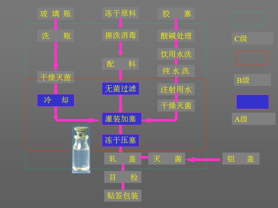 冻干制剂工艺与车间设计.ppt_第3页