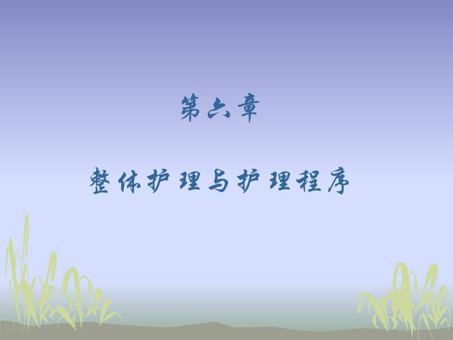 整体护理与护理程序.ppt_第1页