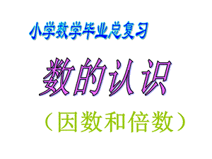 六年级数学总复习(因数倍数).ppt