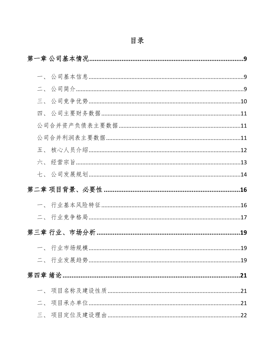 信阳数码配套产品项目可行性研究报告.docx_第2页