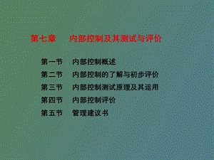 内部控制系统审计.ppt