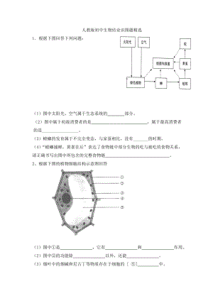 人教版初中生物识图专题(整理版)汇编.doc