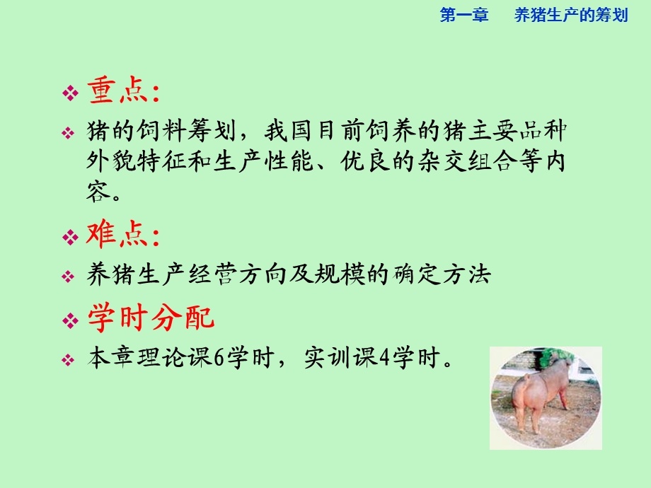 养猪生产的筹划.ppt_第3页