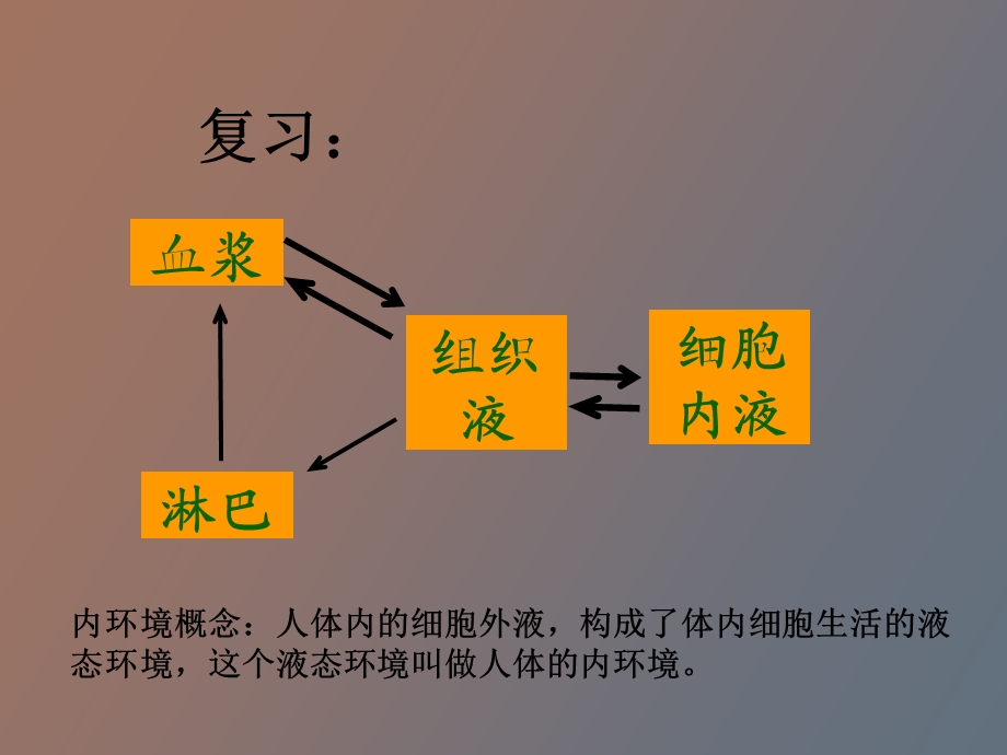 内环境与稳态的重要性.ppt_第2页