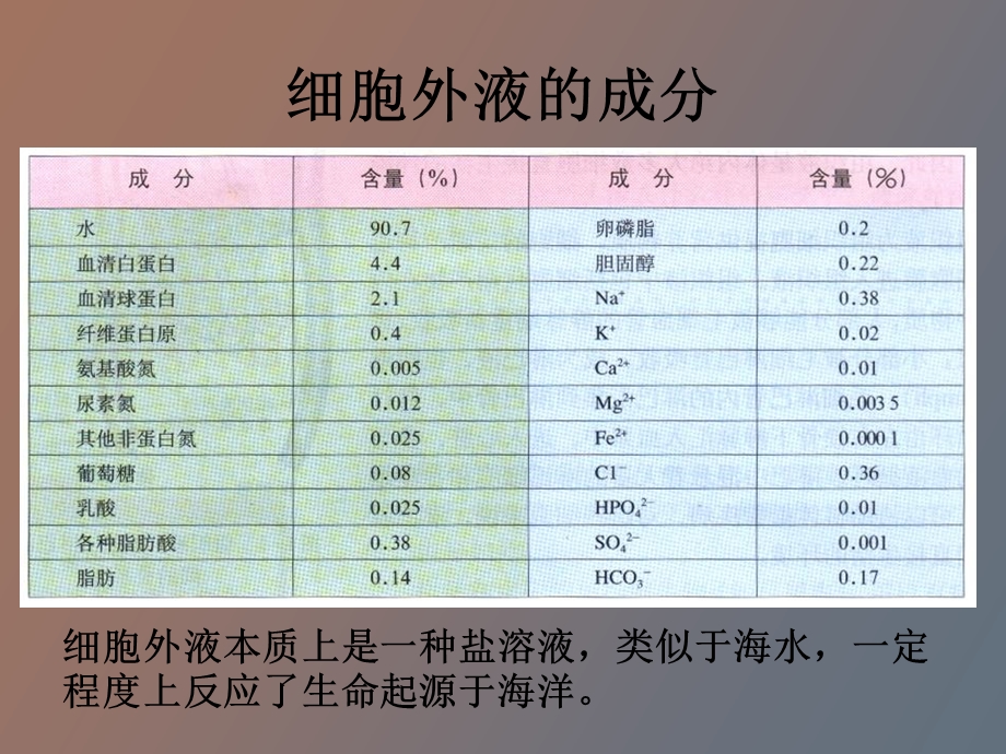 内环境与稳态的重要性.ppt_第3页