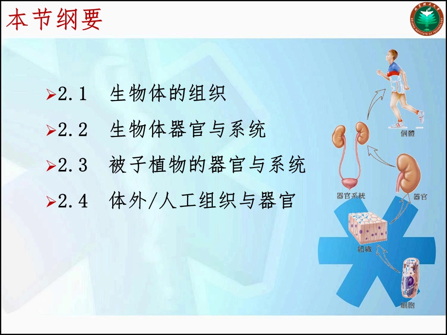 器官组织与系统.ppt_第2页