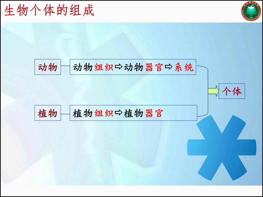 器官组织与系统.ppt_第3页