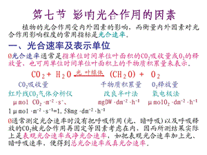 第三章植物的光合作用3.ppt