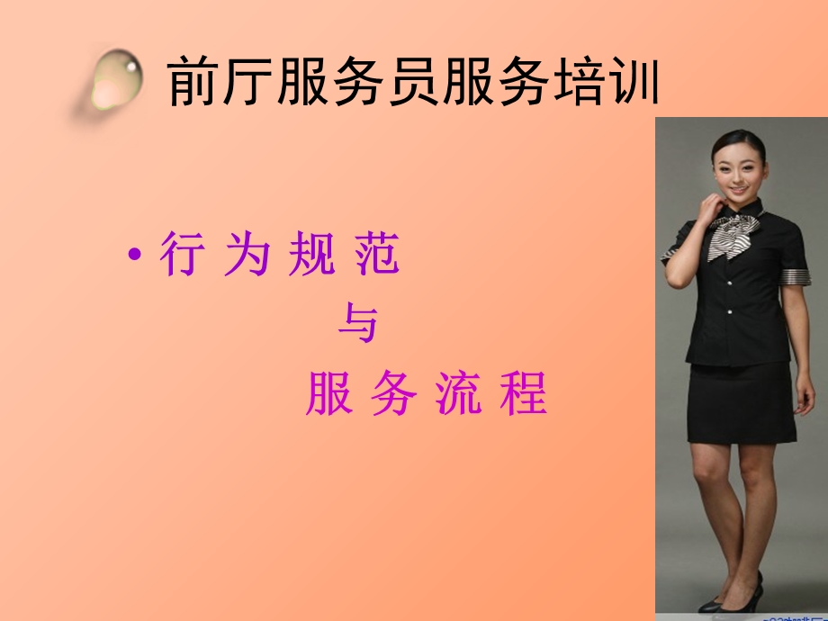 前厅服务员服务培训.ppt_第2页