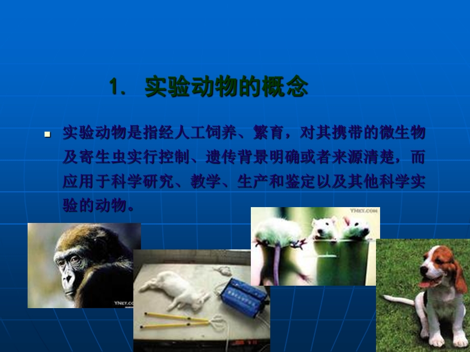 实验动物基础知识.ppt_第3页