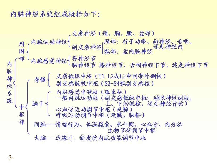 内脏神经的解剖结构.ppt_第3页