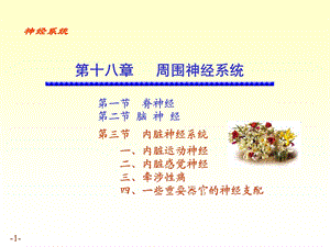 内脏神经的解剖结构.ppt