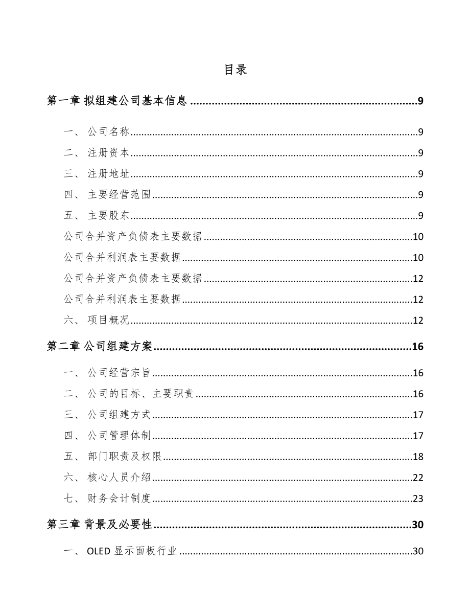 中山关于成立背光显示模组公司可行性报告.docx_第2页