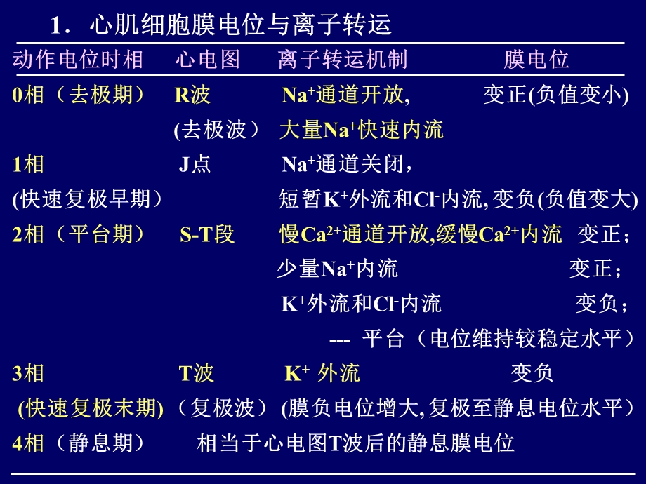 抗心律失常药的PPT.ppt_第3页