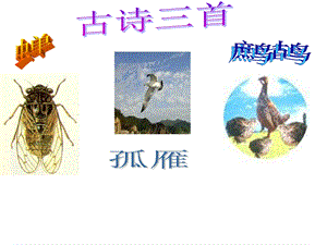 七年级语文下册古诗三首.ppt