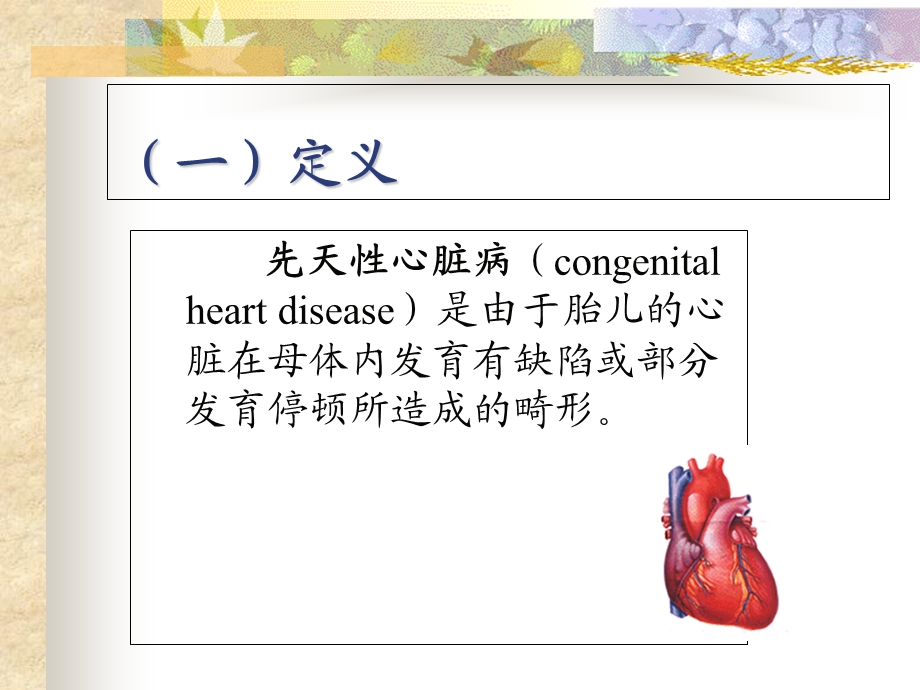 先天性心脏病模板.ppt_第2页