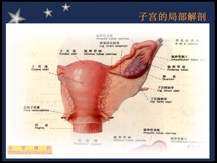 剖宫产术前术后的护理.ppt_第3页