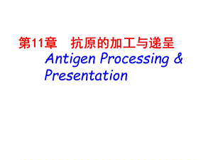 抗原的加工与呈递.ppt