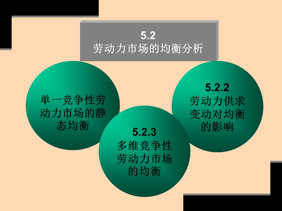 劳动经济学劳动力供给与劳动力需求的相互作用.ppt_第3页