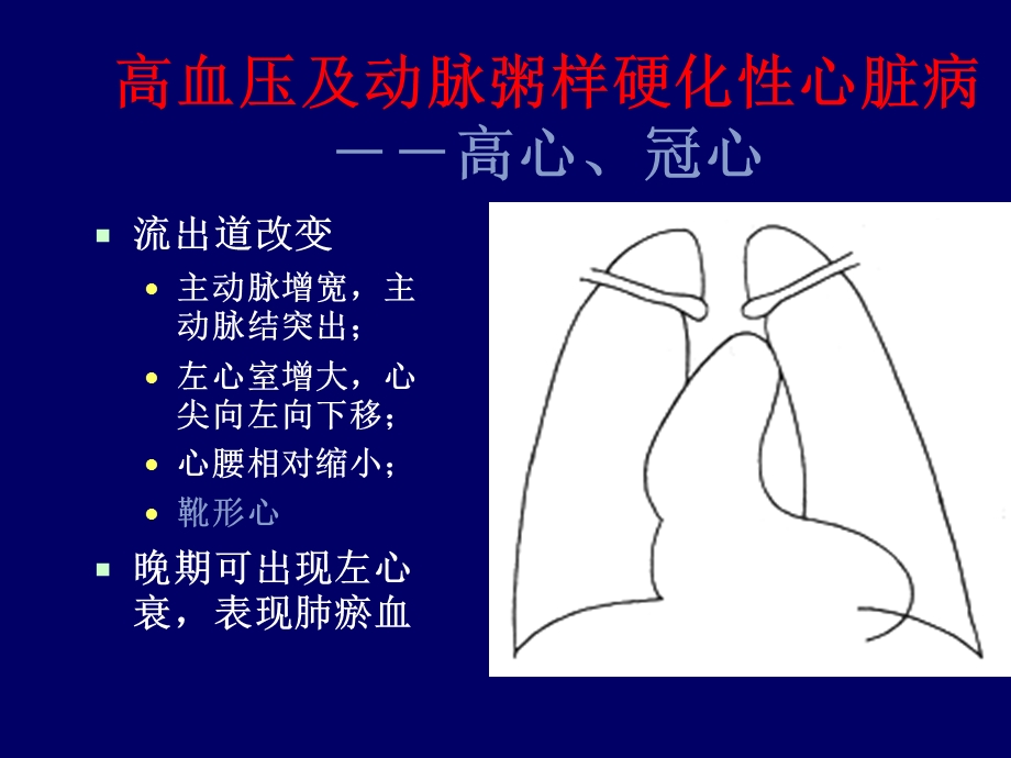 心血管后心(X线).ppt_第3页