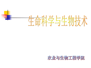 农业与生物工程学院.ppt