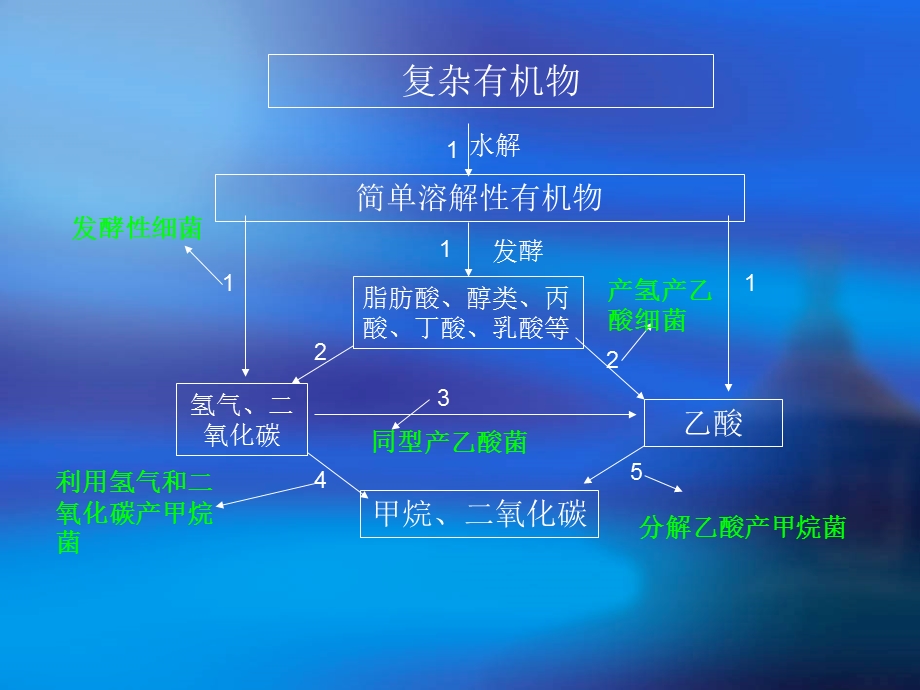 厌氧生物处理技术.ppt_第2页