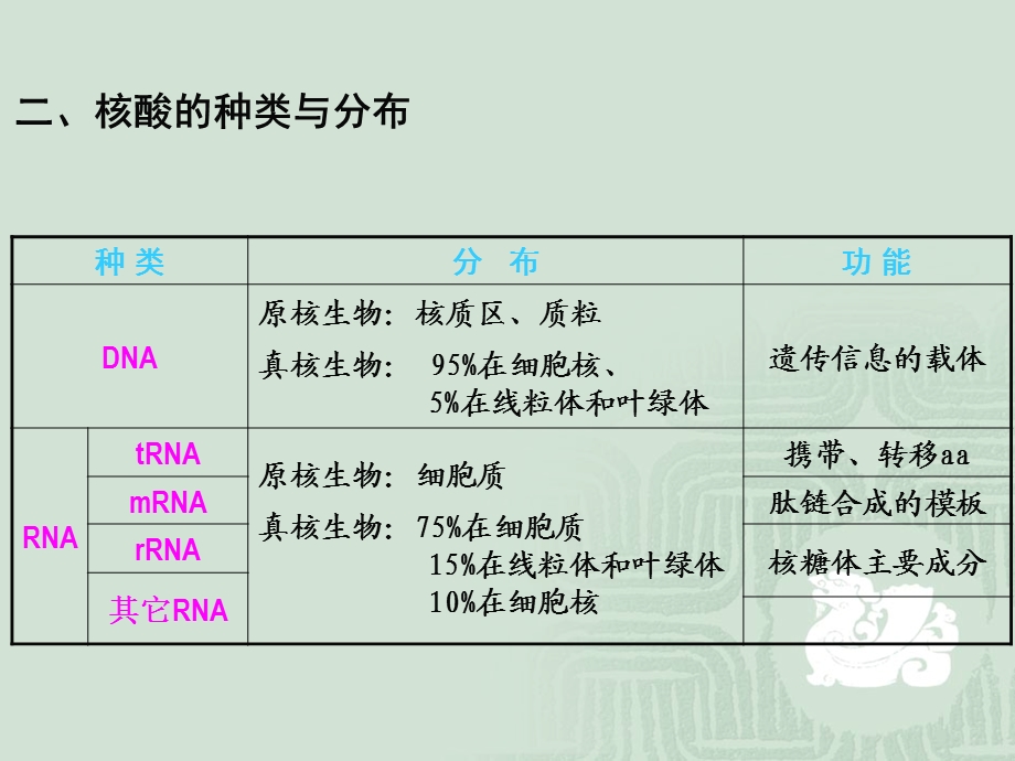 11核苷酸发现种类分布与组成.ppt_第3页