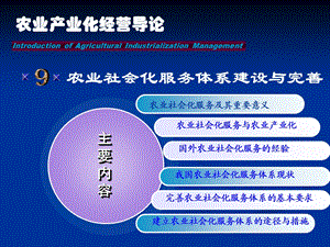 农业社会化服务体系.ppt