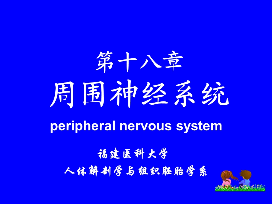 周围神经系统解剖学.ppt_第1页