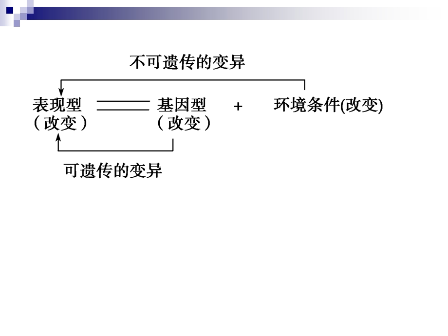 基因突变与基因重组.ppt_第3页