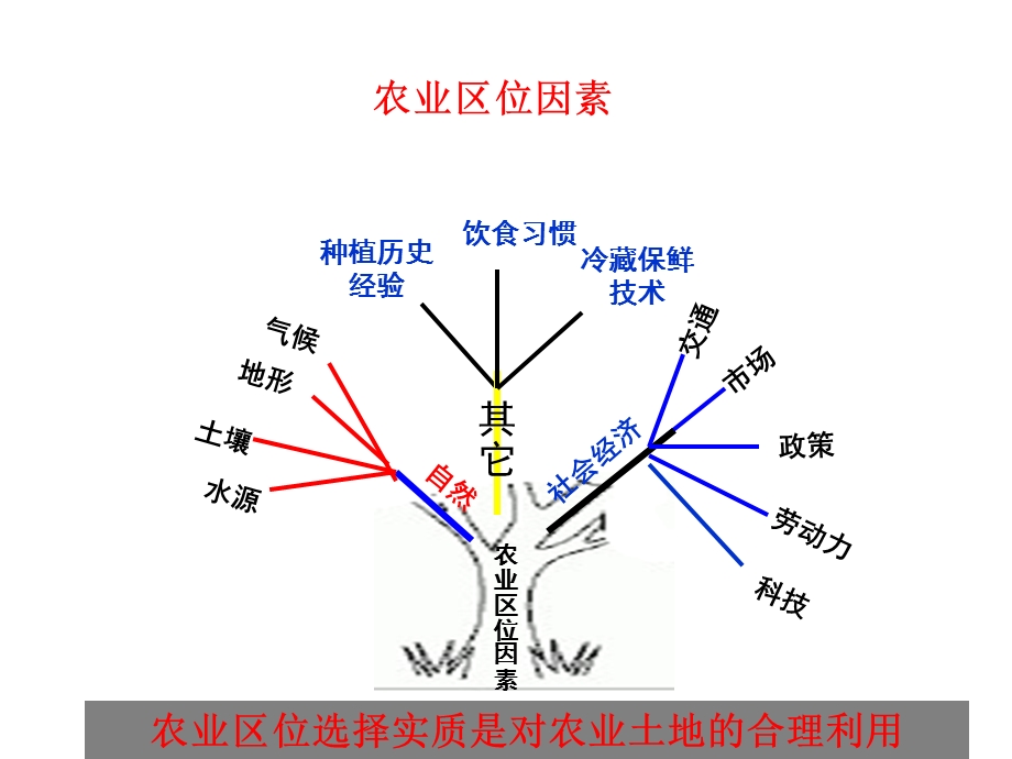 农业区位因素和区位选择复习.ppt_第3页