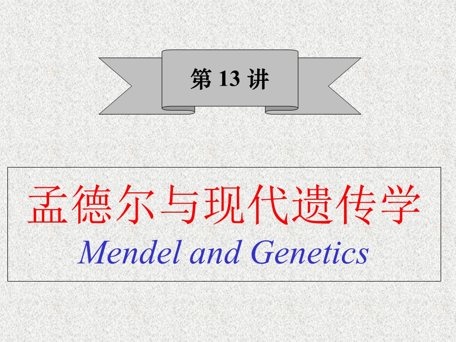 孟德尔与遗传学.ppt_第2页