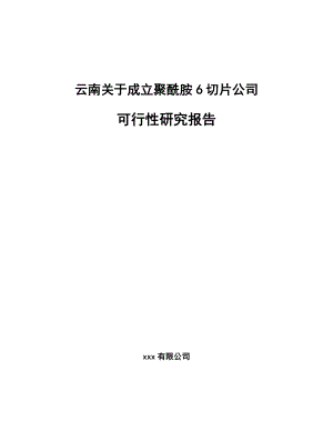 云南关于成立聚酰胺6切片公司可行性研究报告.docx